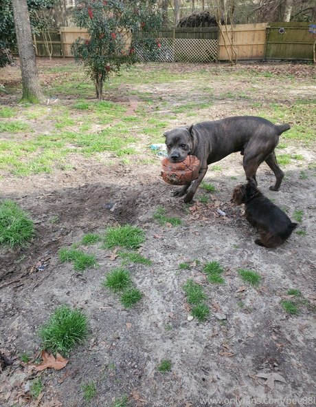 black girls onlyfans porno pic