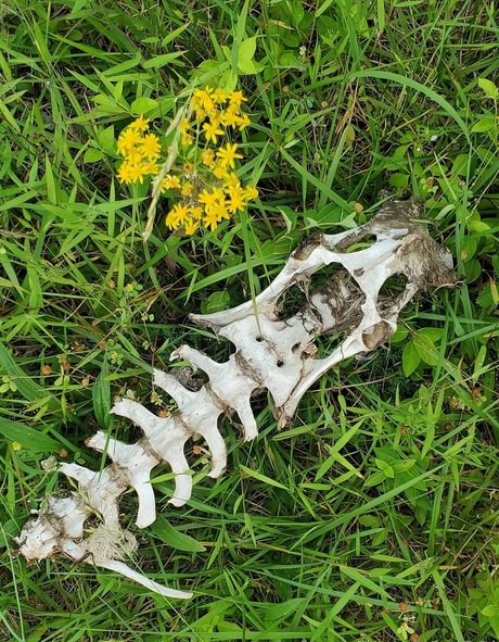 milf glasses onlyfans nice archive