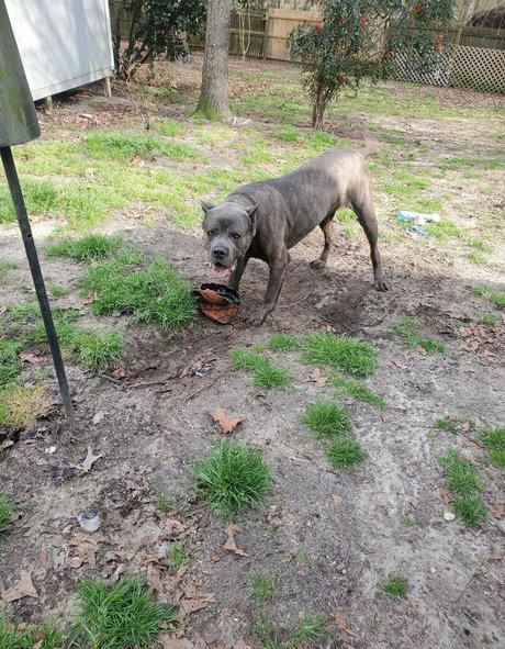 old lady onlyfans adult pic