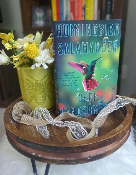 leggings onlyfans top image