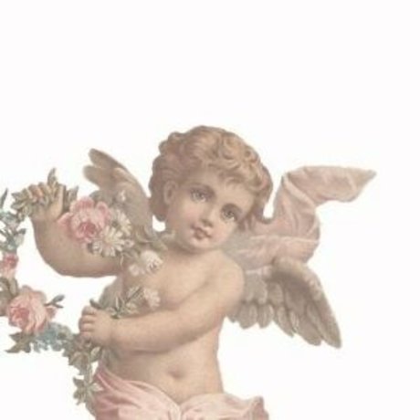 whenflowersbloom sexy star pic