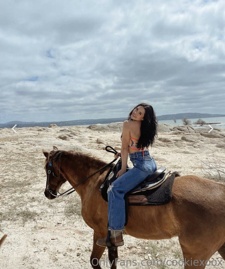 Bri Cookie nude pornstar pics