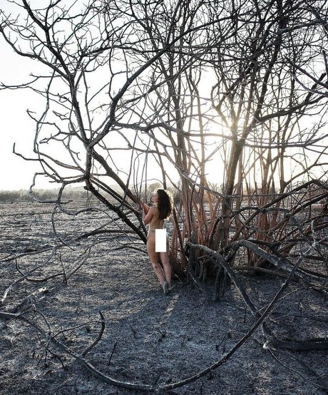 souland mind star xxx pics