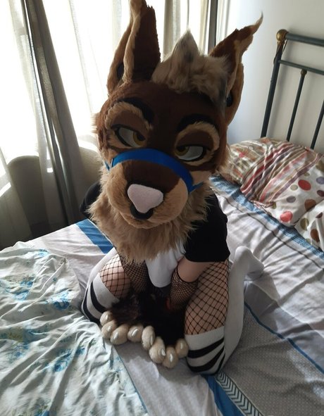 summer trans onlyfans free sex image