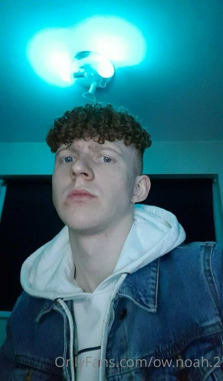 ow noah 2 art actress pic