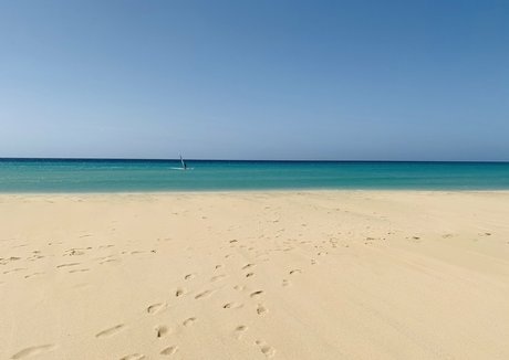 fight onlyfans naked images