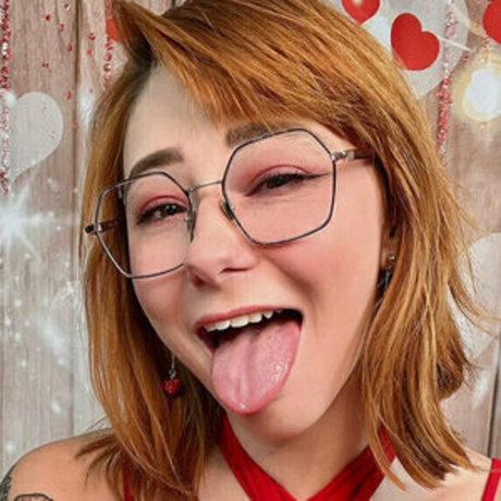 lewdroosfreepage star free photo