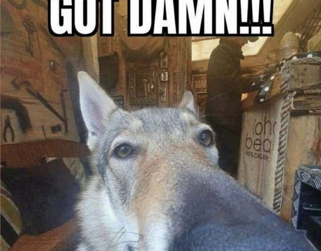 ghettogoth actress images