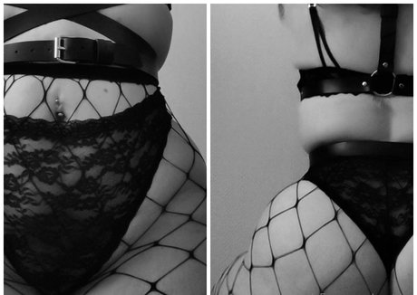 saatane free star photo