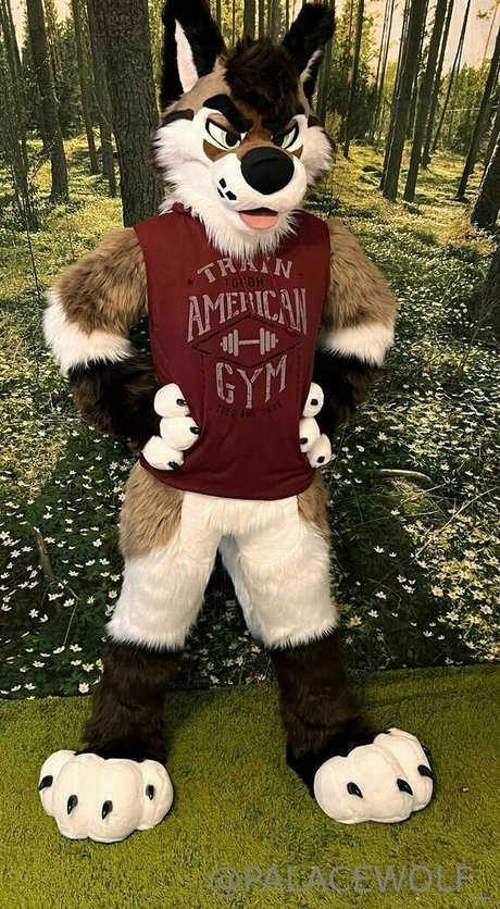 palacewolf star hot photo