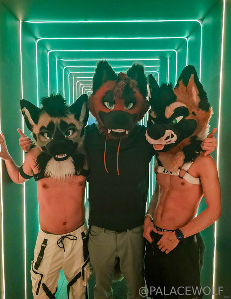 palacewolf nude star pics