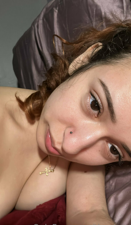 tinyrissy star art photo