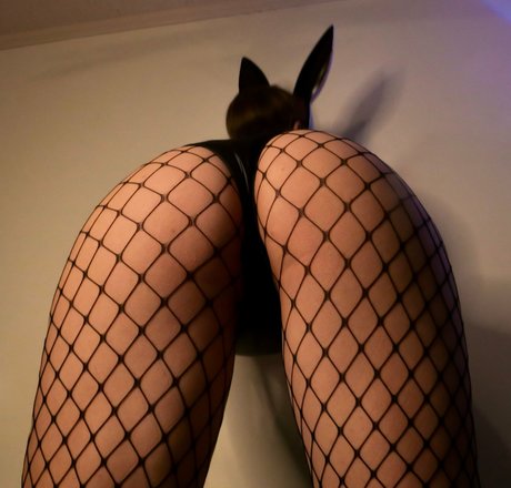 CosmicKitti star best galleries