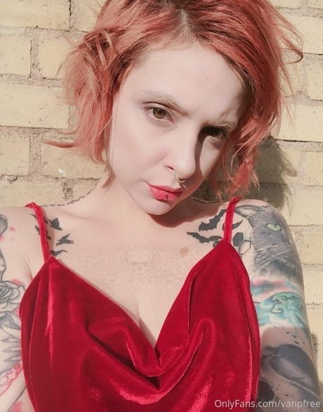 vanphell nice model picture