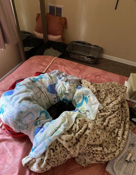 amateur dp onlyfans best images