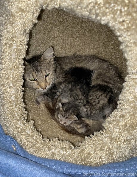 anal couple onlyfans hd photos