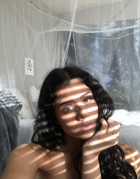 cassidy17 pornstar adult pic