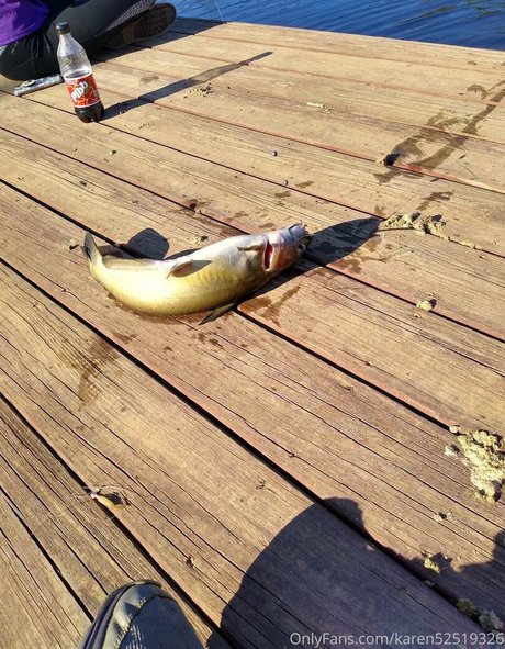 alreadywet69 hd pornstar archive