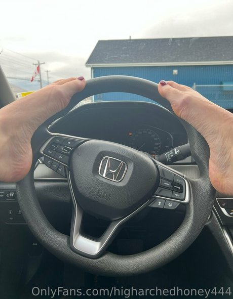 higharchedhoney444 nice pornstar galleries