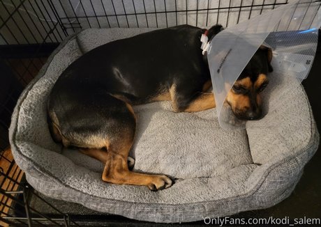 kodi salem pornstar nudes picture