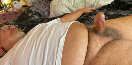 bearsorlando hd star pic