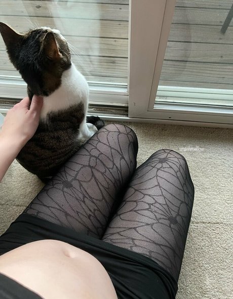 smashmelllow model pictures