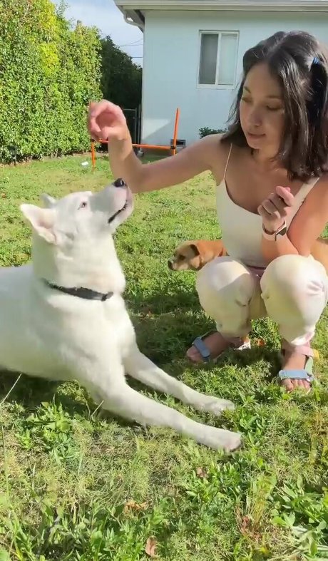 Lily Kawaii star nude galleries