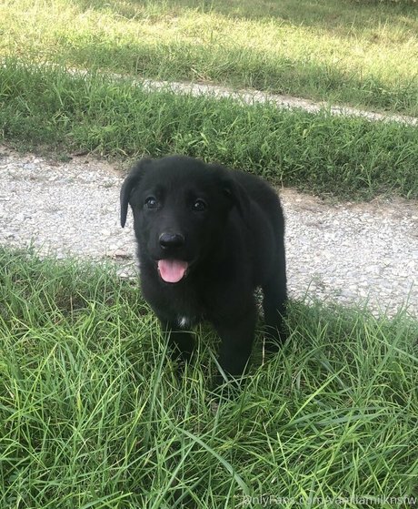 scandal onlyfans hot nude photos