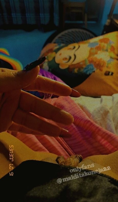 malditakoneja22 star top images