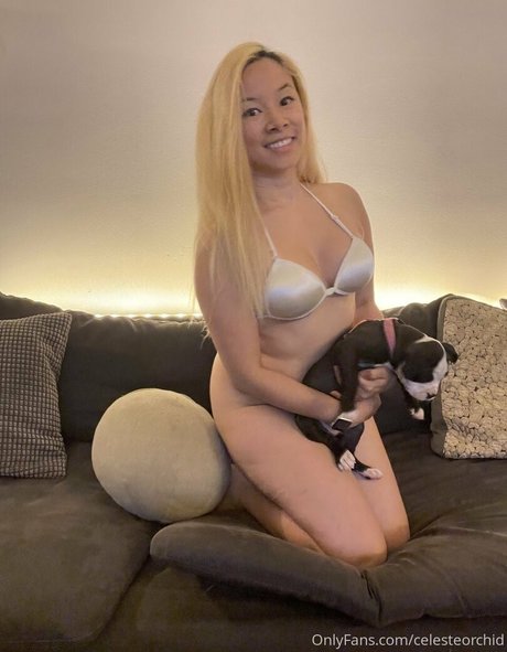 Celeste Orchid free star photos