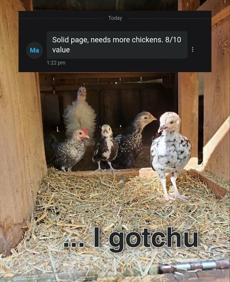 GoddessZoey erotic pornstar picture