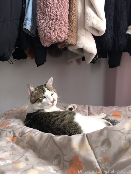 sucking tits onlyfans free sexy img