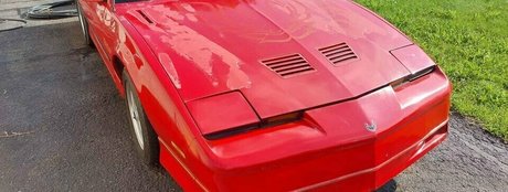 Shygal lilly pornstar naked pic