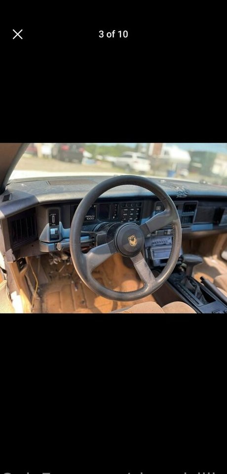 Shygal lilly adult model gallery