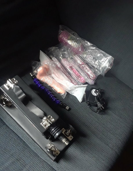 Shygal lilly perfect star archive