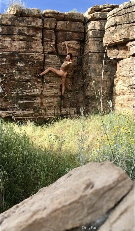 metalmeesh model picture