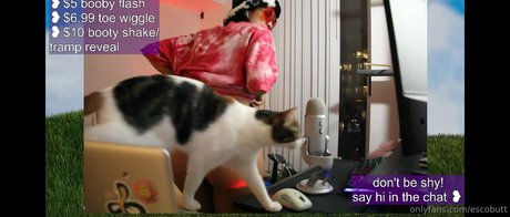 escobutt exclusive star image