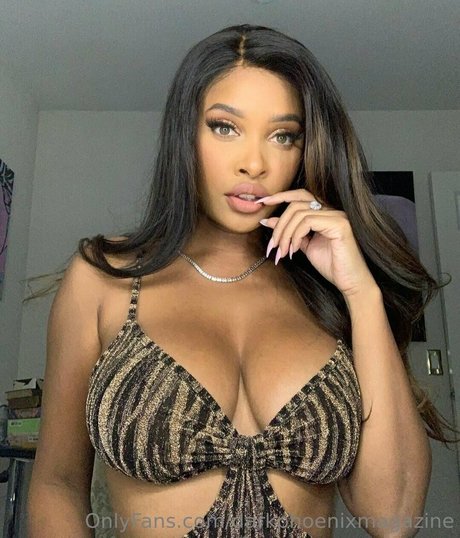 darkphoenixvip perfect model images