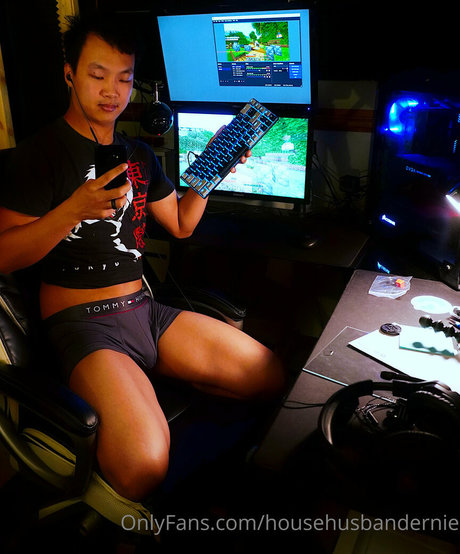 househusbandernie pornographic actress image