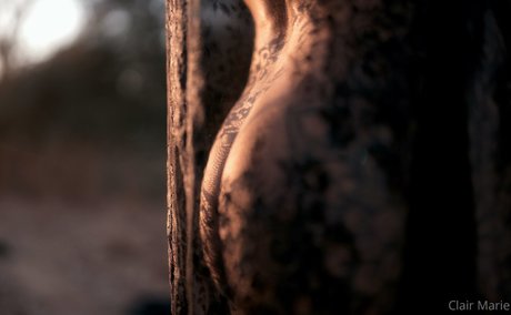 whore wife onlyfans art naked pic