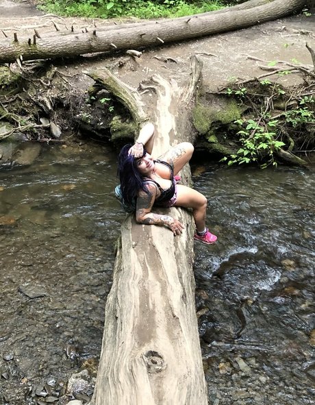 little rampage model art galleries