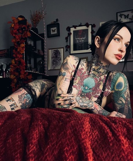 elporterofficial perfect star galleries