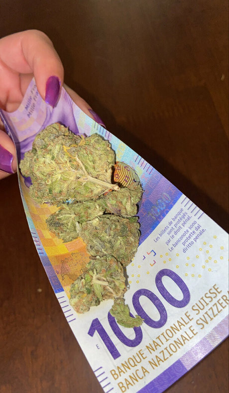 vtng br2 pornstar pretty pictures