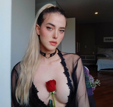 freesachorra exclusive star archive