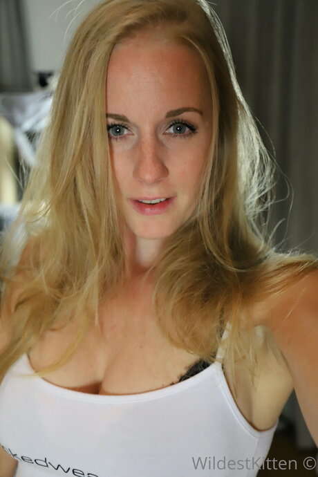 WildestKitten art star img