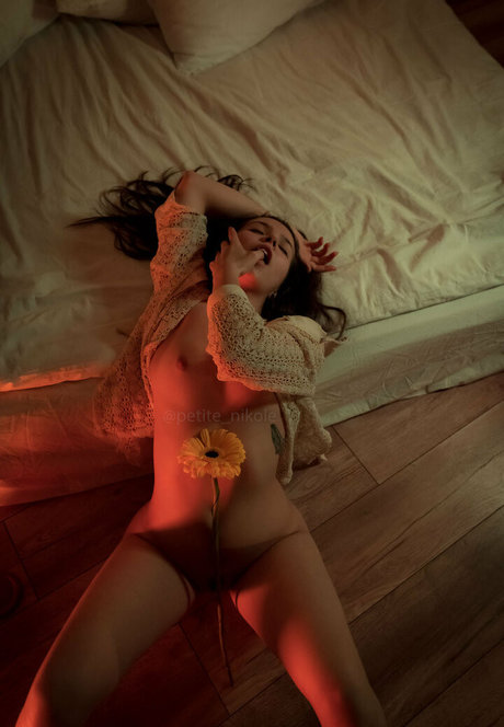 petitenikole star art archive