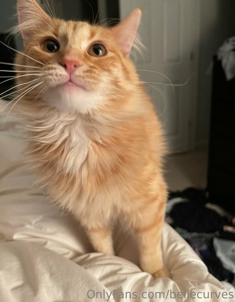 beach blowjob onlyfans beautiful pics