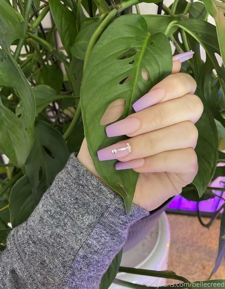 bellecreed model best image