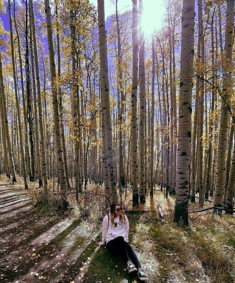 lolaxsparks star top img