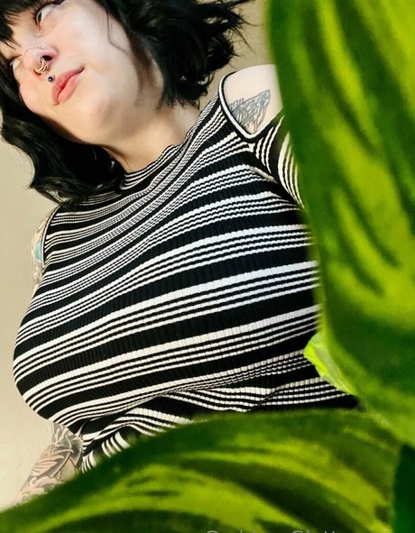 foot fetish onlyfans sexy nudes image